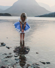 Load image into Gallery viewer, Bluebonnet Dress