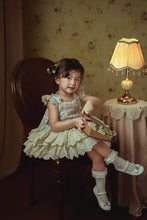 Load image into Gallery viewer, Vintage Roses Dress Blue