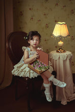 Load image into Gallery viewer, Vintage Roses Dress Blue