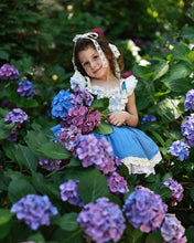 Load image into Gallery viewer, Bluebonnet Dress