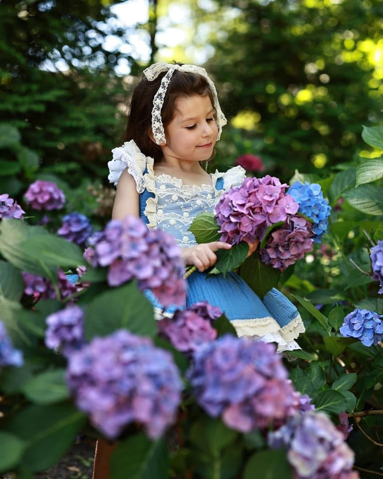 Bluebonnet Dress Bambalina Clothing Bluebonnet Dress Bambalina Clothing