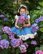 Load image into Gallery viewer, Bluebonnet Dress