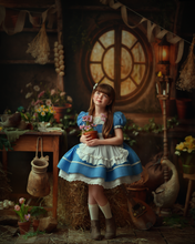 Load image into Gallery viewer, Blue Apron Dress