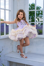 Load image into Gallery viewer, Lavenders and Daisies Dress - Other Colors