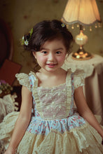 Load image into Gallery viewer, Vintage Roses Dress Blue