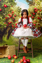 Load image into Gallery viewer, Miracle Dress