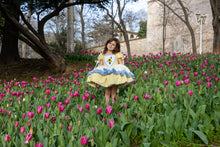 Load image into Gallery viewer, Sunflowers and Butterflies