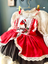 Load image into Gallery viewer, Winter Robin Dress