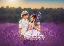 Load image into Gallery viewer, Lavenders and Daisies Dress - Other Colors