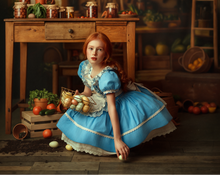 Load image into Gallery viewer, Blue Apron Dress