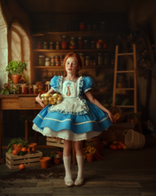 Load image into Gallery viewer, Blue Apron Dress