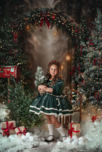 Load image into Gallery viewer, Enchanted Evergreen Dress