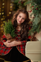 Load image into Gallery viewer, The Nutcracker Dress - Christmas Dress