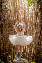 Load image into Gallery viewer, Aurora Butterfly Dress