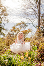 Load image into Gallery viewer, Aurora Butterfly Dress