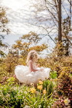 Load image into Gallery viewer, Aurora Butterfly Dress