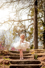 Load image into Gallery viewer, Aurora Butterfly Dress