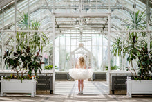 Load image into Gallery viewer, Aurora Butterfly Dress