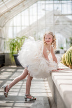 Load image into Gallery viewer, Aurora Butterfly Dress