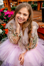 Load image into Gallery viewer, Le Jardin des Papillons Embroidery Top Lavender or Pink Tutu Tulle Dress