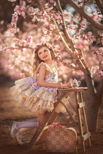 Load image into Gallery viewer, Vintage Roses Pinafore
