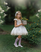 Load image into Gallery viewer, Elodie Lace Dress
