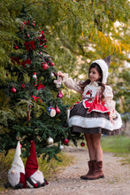 Load image into Gallery viewer, Winter Robin Dress
