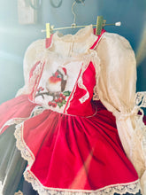 Load image into Gallery viewer, Winter Robin Dress
