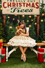 Load image into Gallery viewer, Angel Dress
