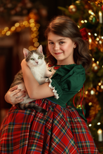 Load image into Gallery viewer, Christmas Dream Dress - Emerald

