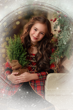 Load image into Gallery viewer, The Nutcracker Dress - Christmas Dress
