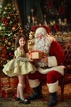 Load image into Gallery viewer, Holiday Dress - Silver Lace - Sizes 12-18m - 5y Royal Blue, Black or Off White Velvet
