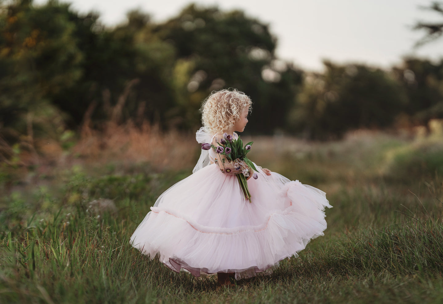 Butterfly Garden Gown