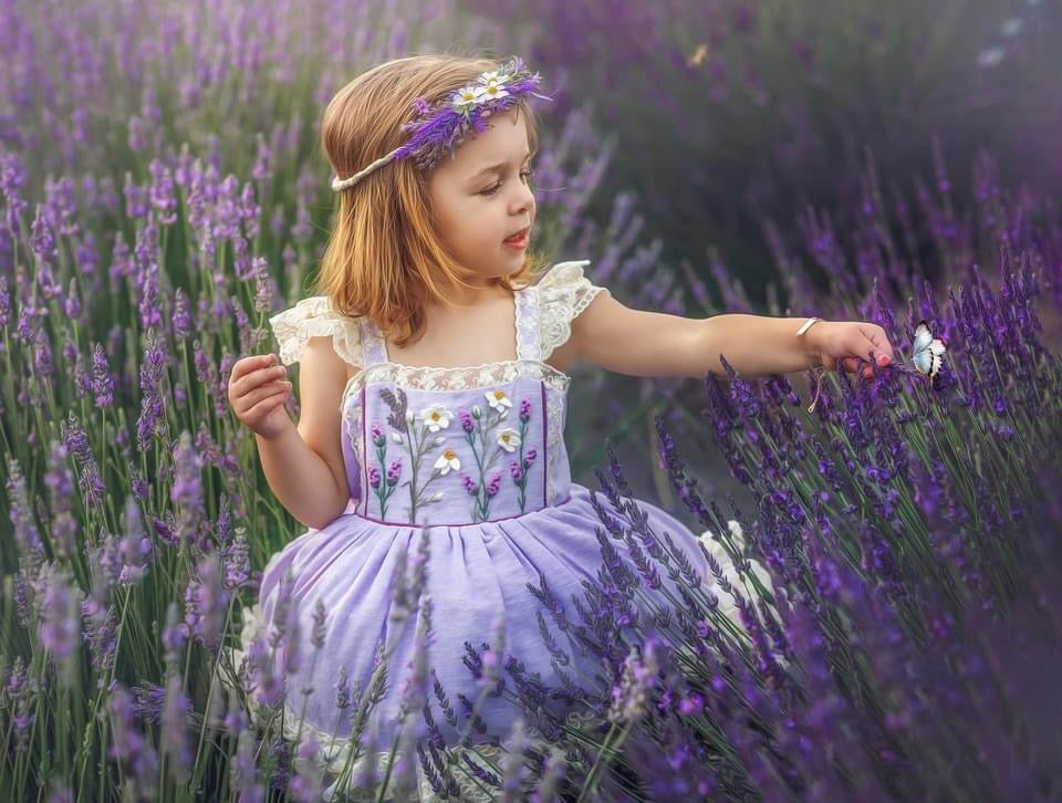 Lavenders and Daisies Dress